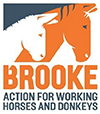 The Brooke